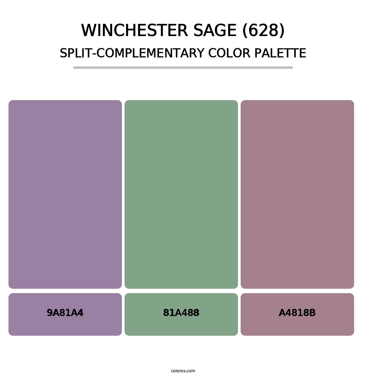 Winchester Sage (628) - Split-Complementary Color Palette
