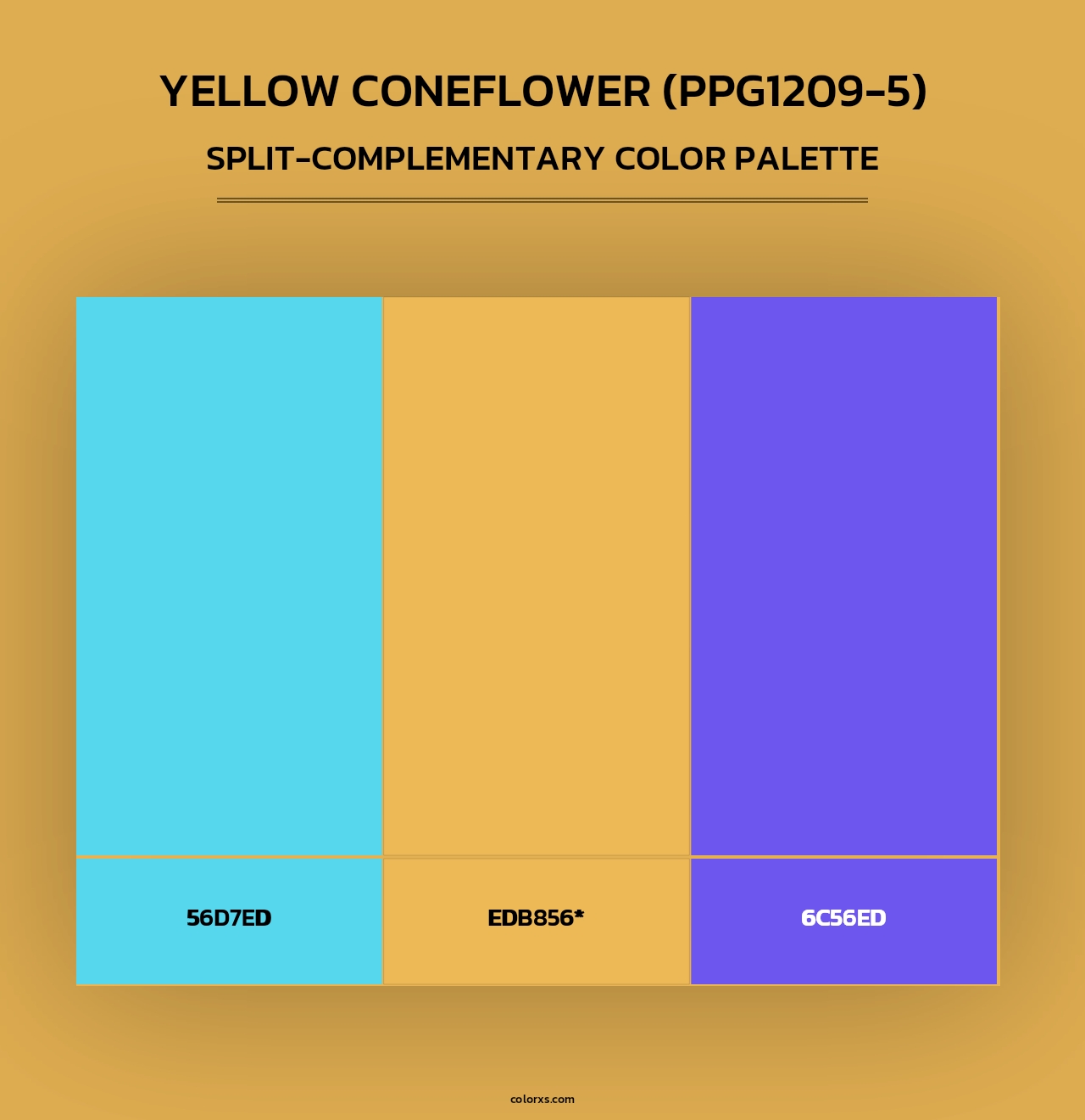 Yellow Coneflower (PPG1209-5) - Split-Complementary Color Palette