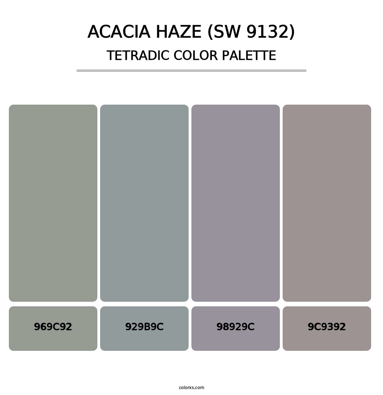 Acacia Haze (SW 9132) - Tetradic Color Palette