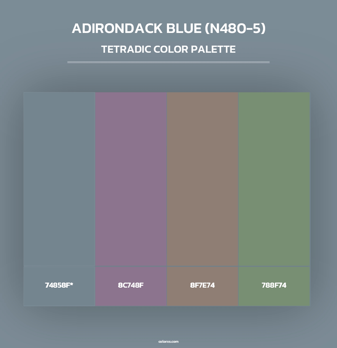 Adirondack Blue (N480-5) - Tetradic Color Palette
