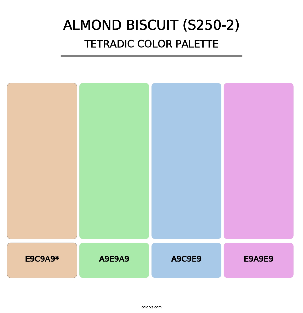 Almond Biscuit (S250-2) - Tetradic Color Palette