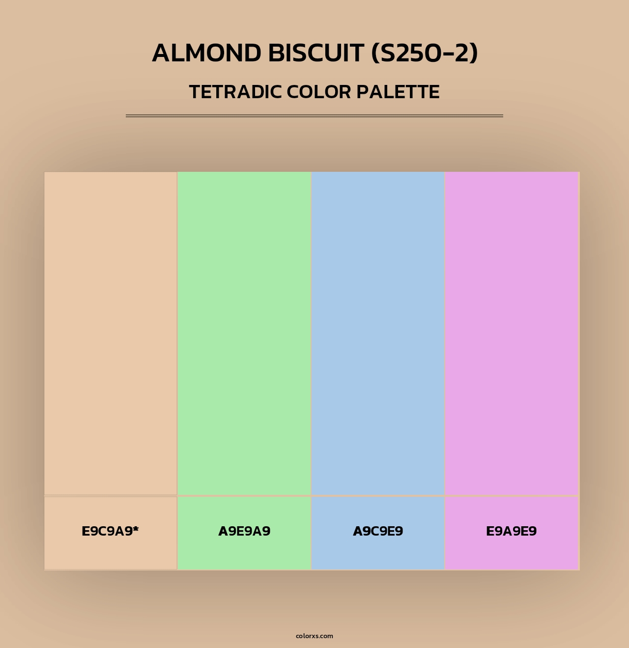Almond Biscuit (S250-2) - Tetradic Color Palette