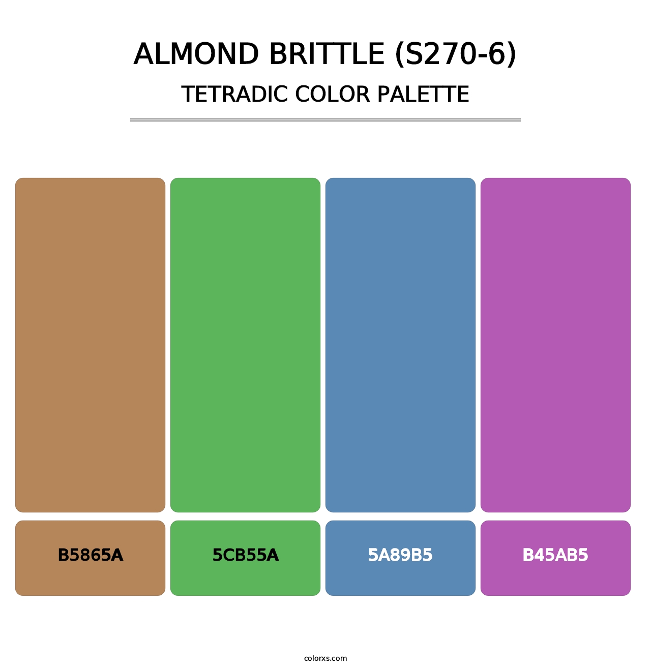 Almond Brittle (S270-6) - Tetradic Color Palette