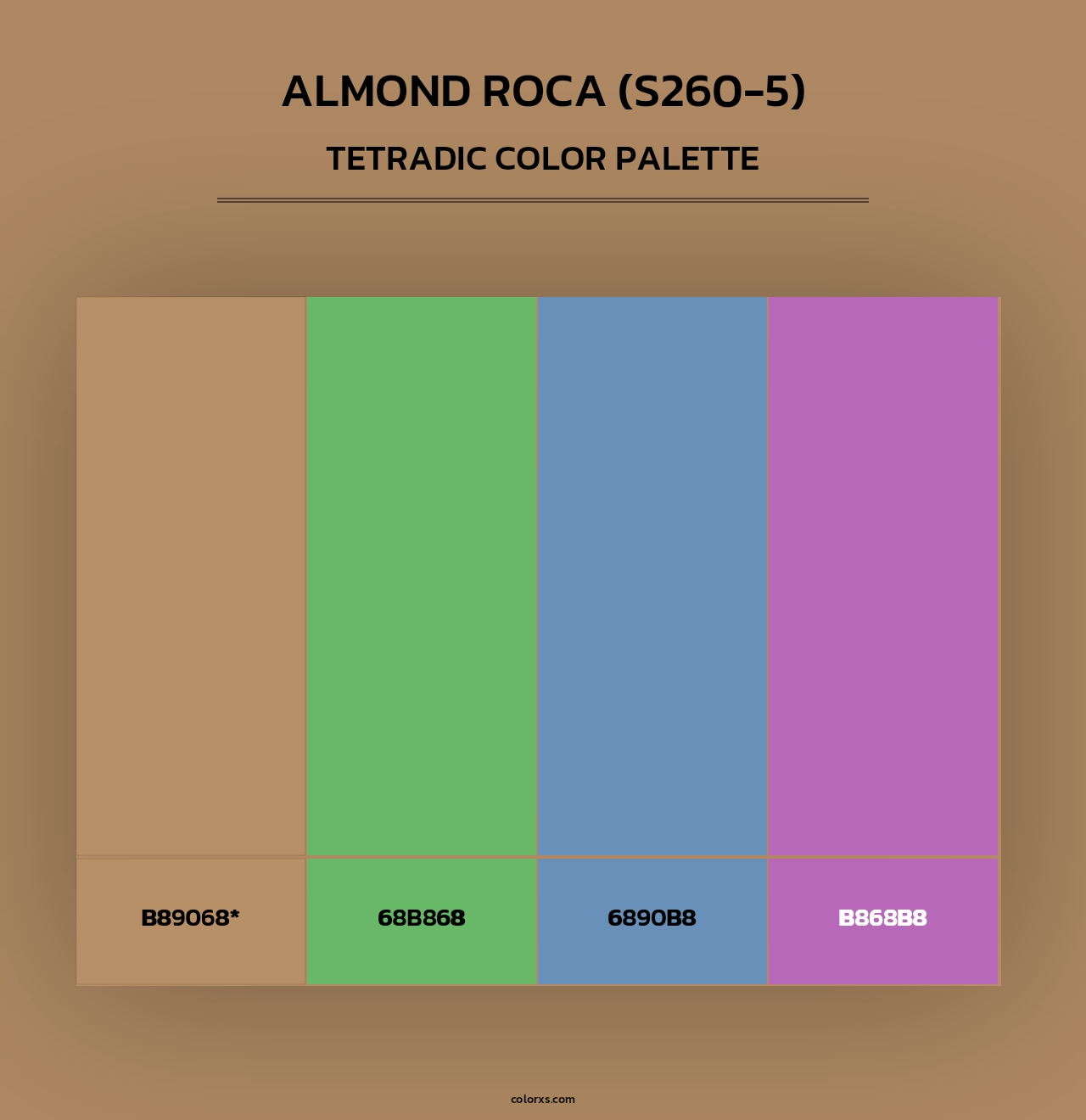 Almond Roca (S260-5) - Tetradic Color Palette