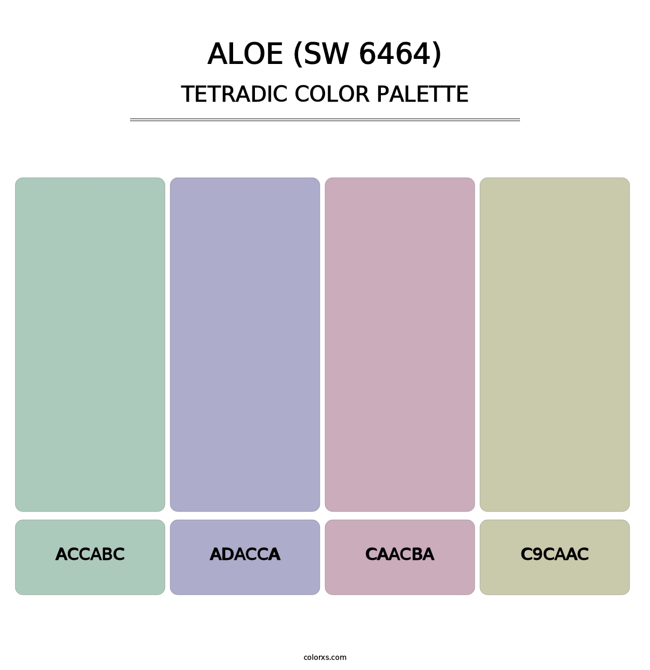 Aloe (SW 6464) - Tetradic Color Palette