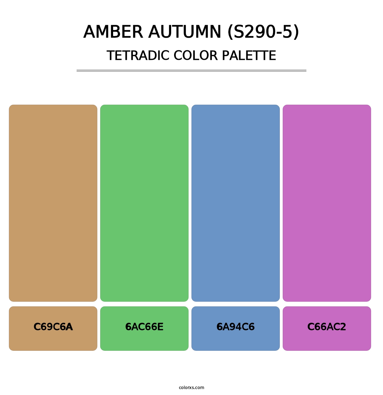 Amber Autumn (S290-5) - Tetradic Color Palette