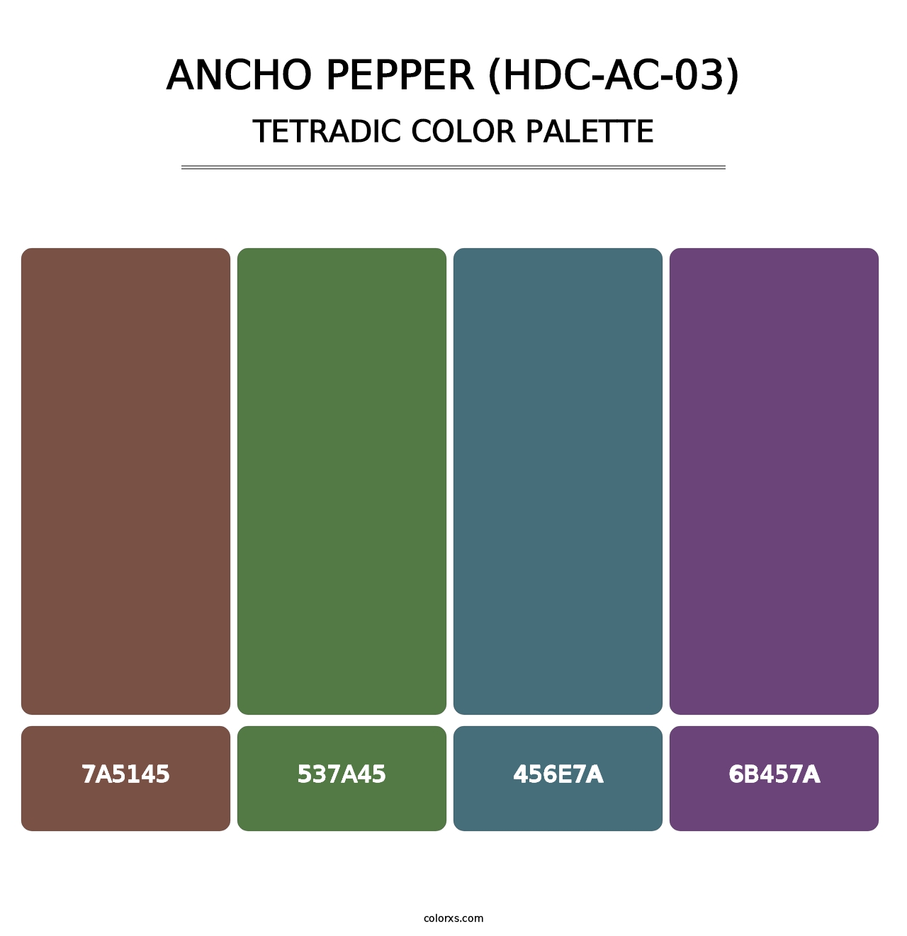 Ancho Pepper (HDC-AC-03) - Tetradic Color Palette