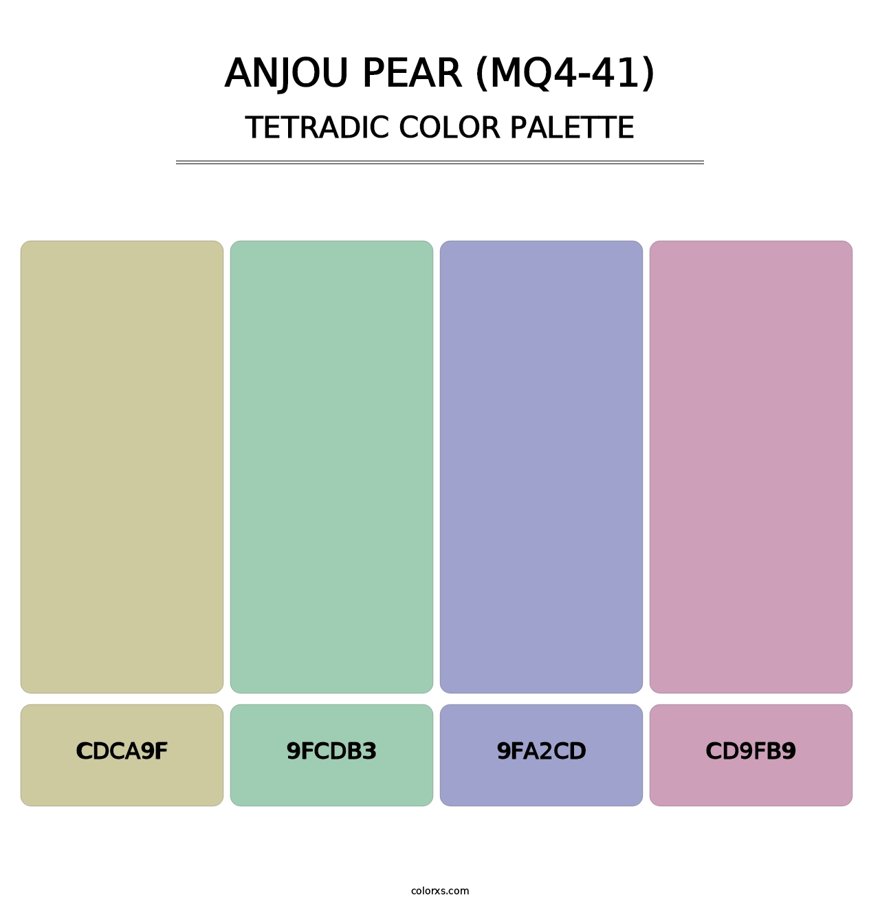 Anjou Pear (MQ4-41) - Tetradic Color Palette