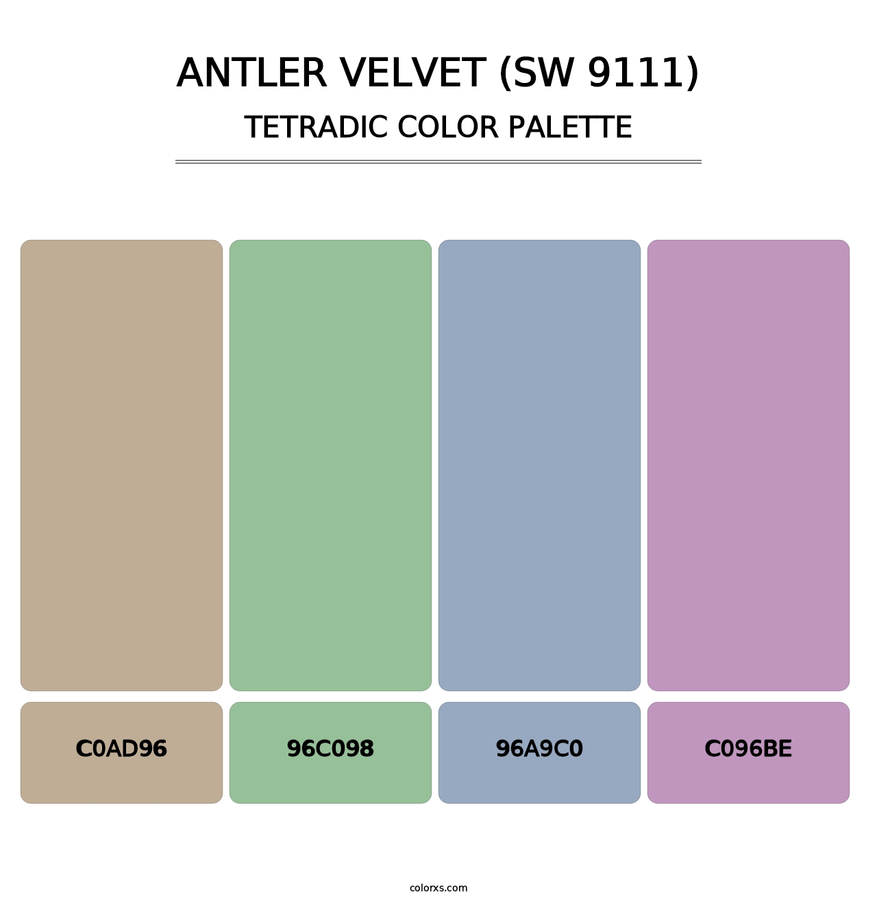 Antler Velvet (SW 9111) - Tetradic Color Palette