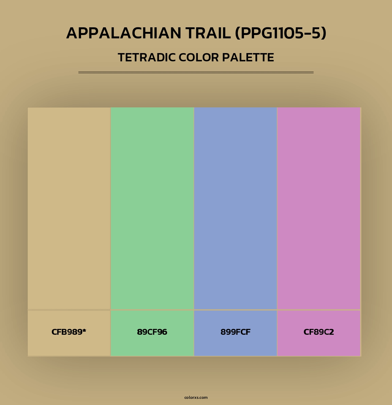 Appalachian Trail (PPG1105-5) - Tetradic Color Palette