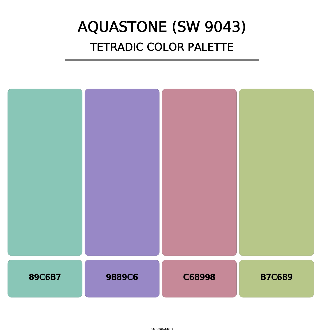 Aquastone (SW 9043) - Tetradic Color Palette