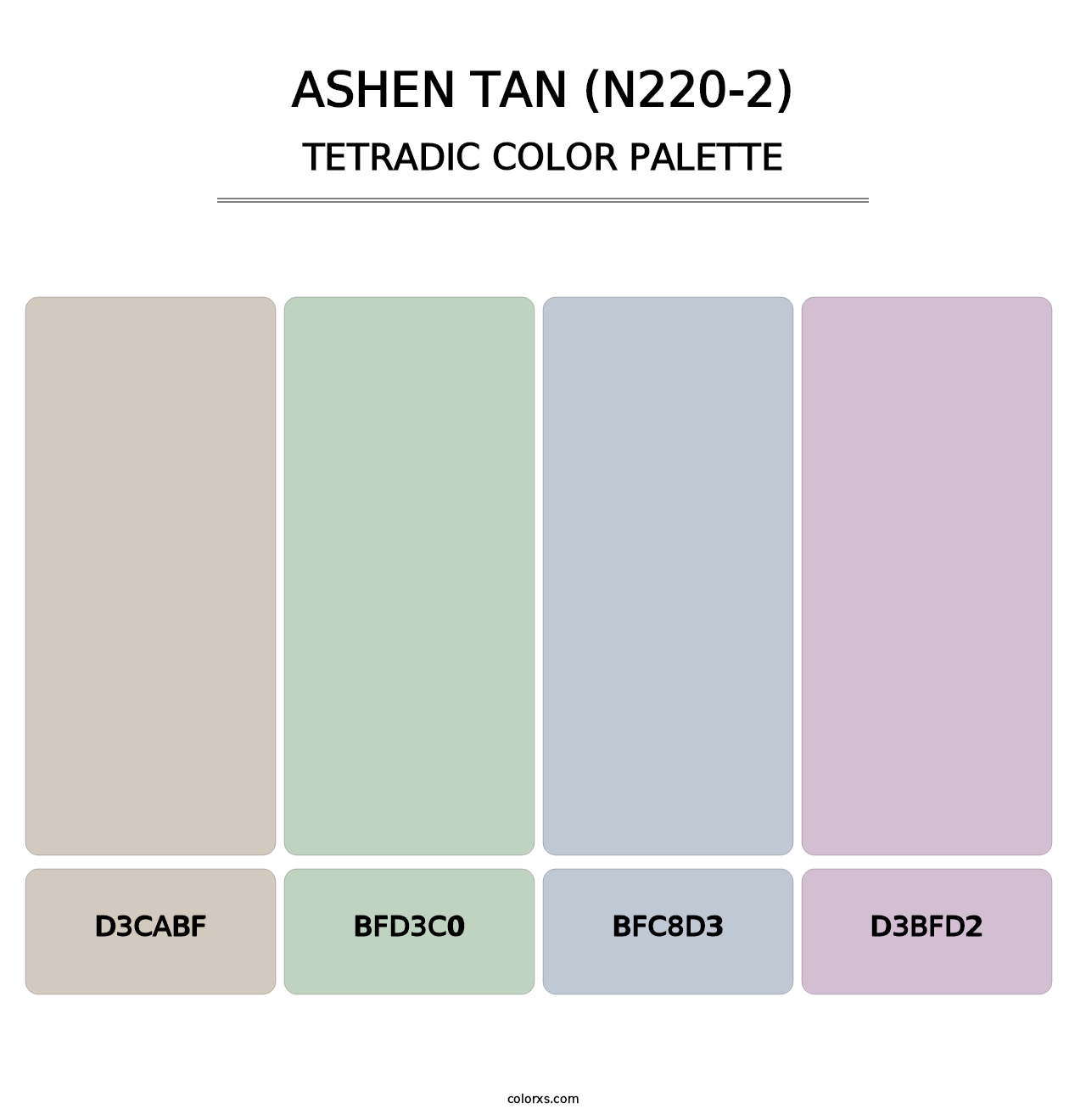 Ashen Tan (N220-2) - Tetradic Color Palette