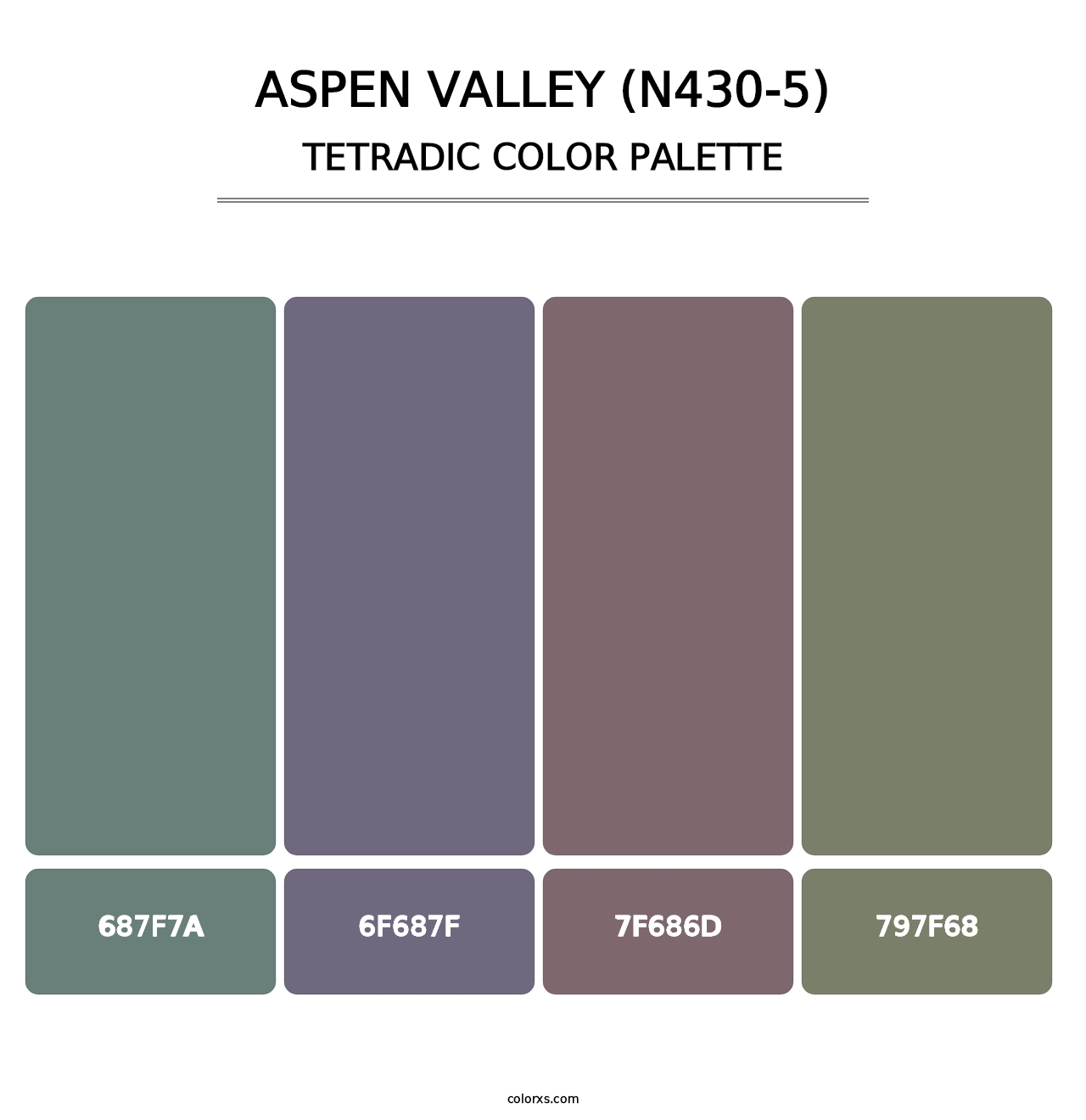 Aspen Valley (N430-5) - Tetradic Color Palette
