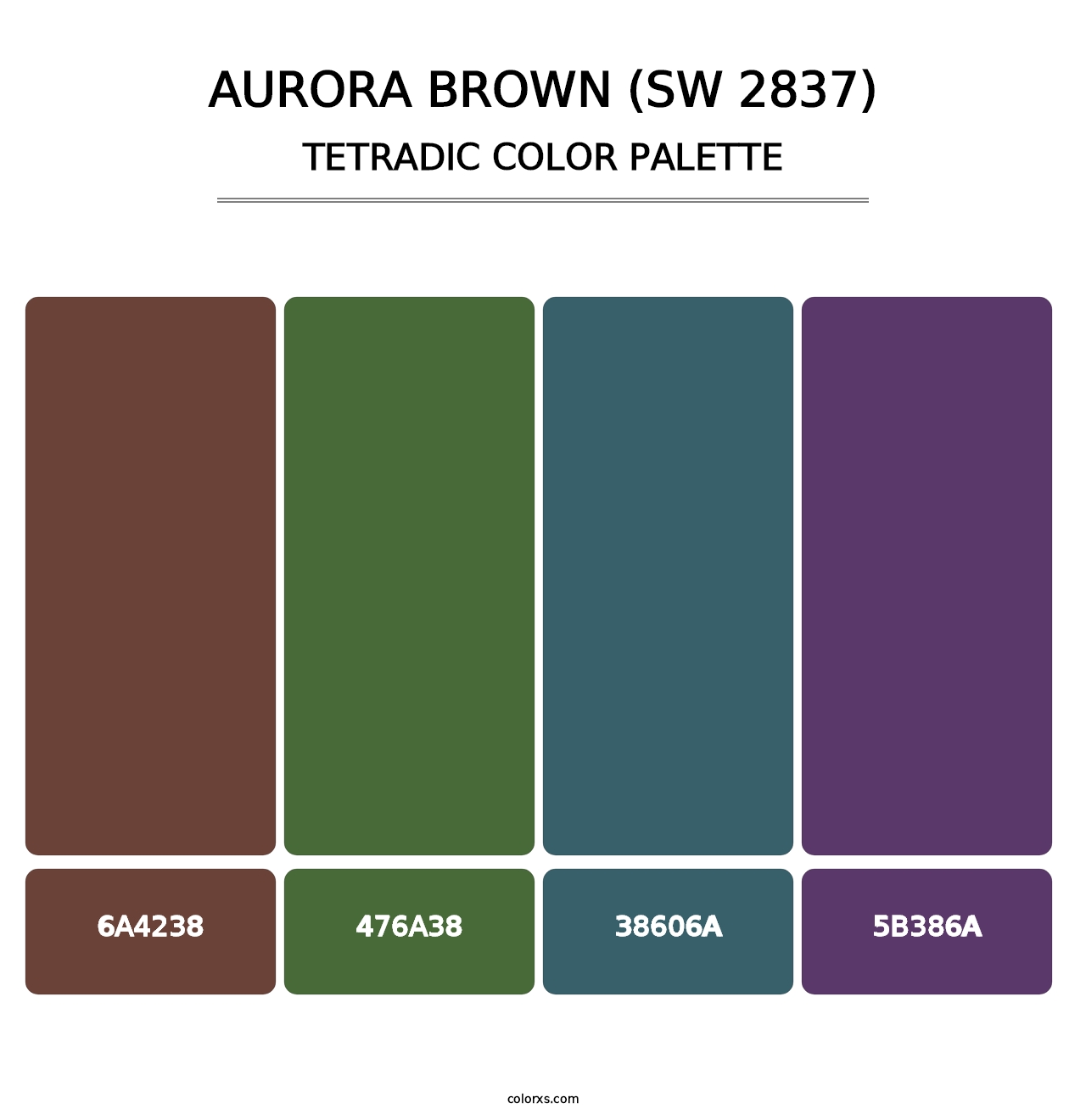 Aurora Brown (SW 2837) - Tetradic Color Palette