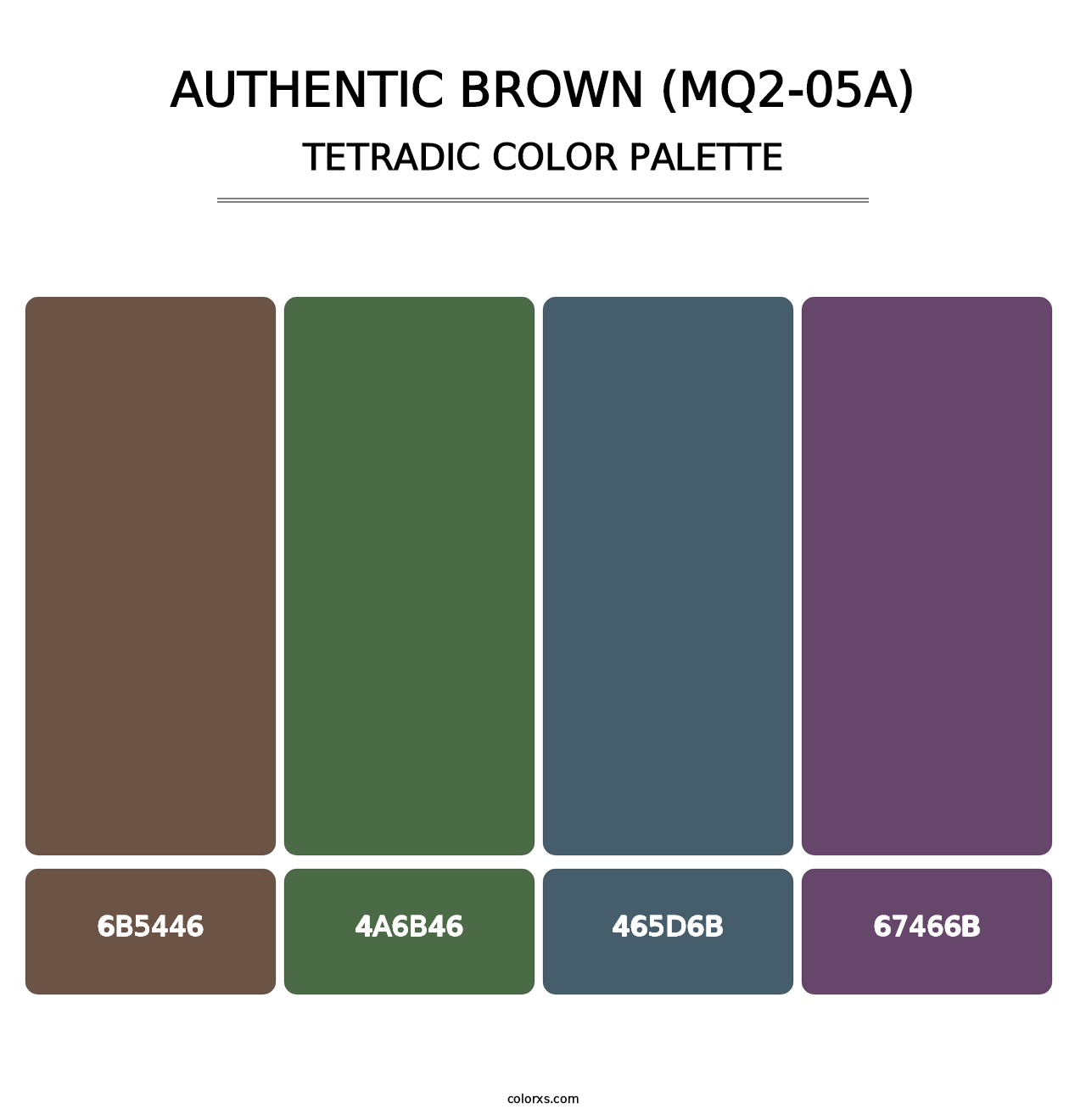 Authentic Brown (MQ2-05A) - Tetradic Color Palette