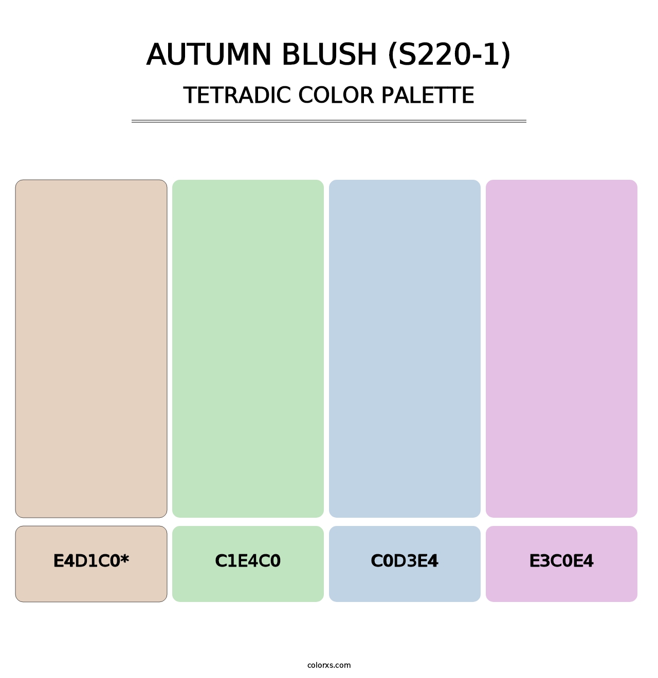 Autumn Blush (S220-1) - Tetradic Color Palette