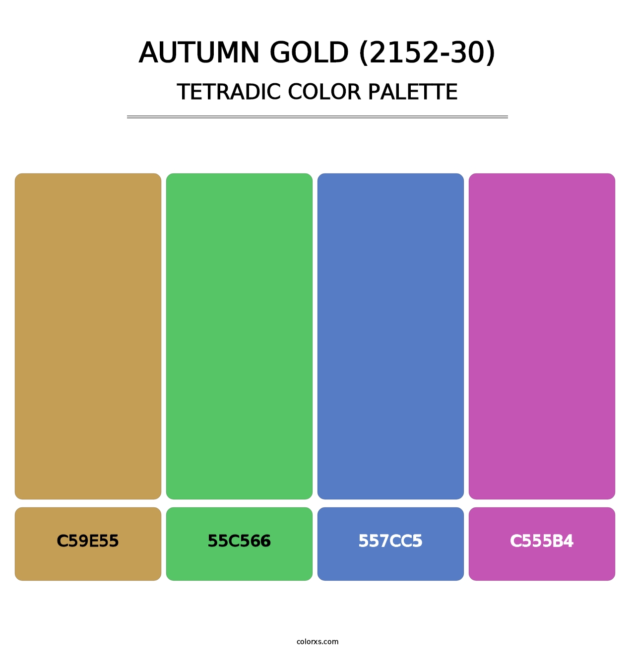Autumn Gold (2152-30) - Tetradic Color Palette