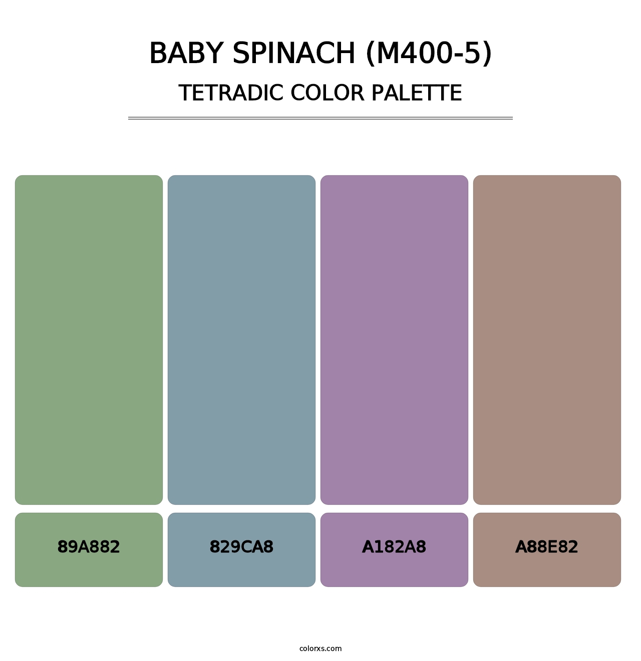 Baby Spinach (M400-5) - Tetradic Color Palette