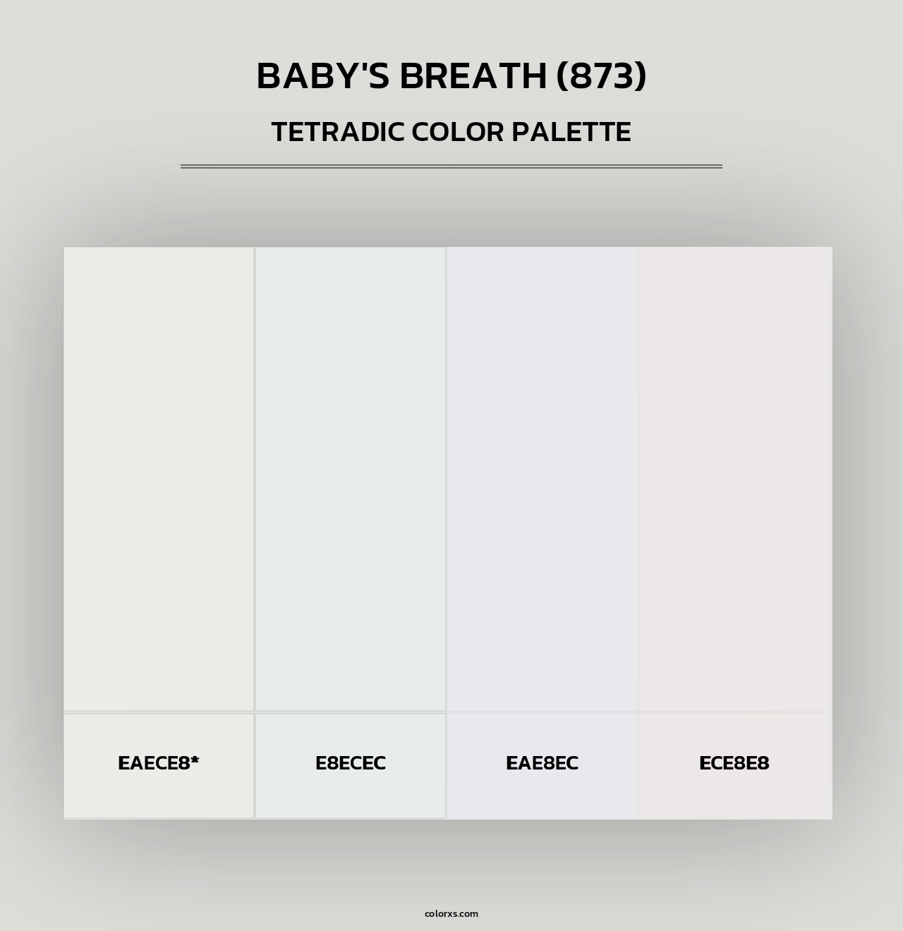 Baby's Breath (873) - Tetradic Color Palette