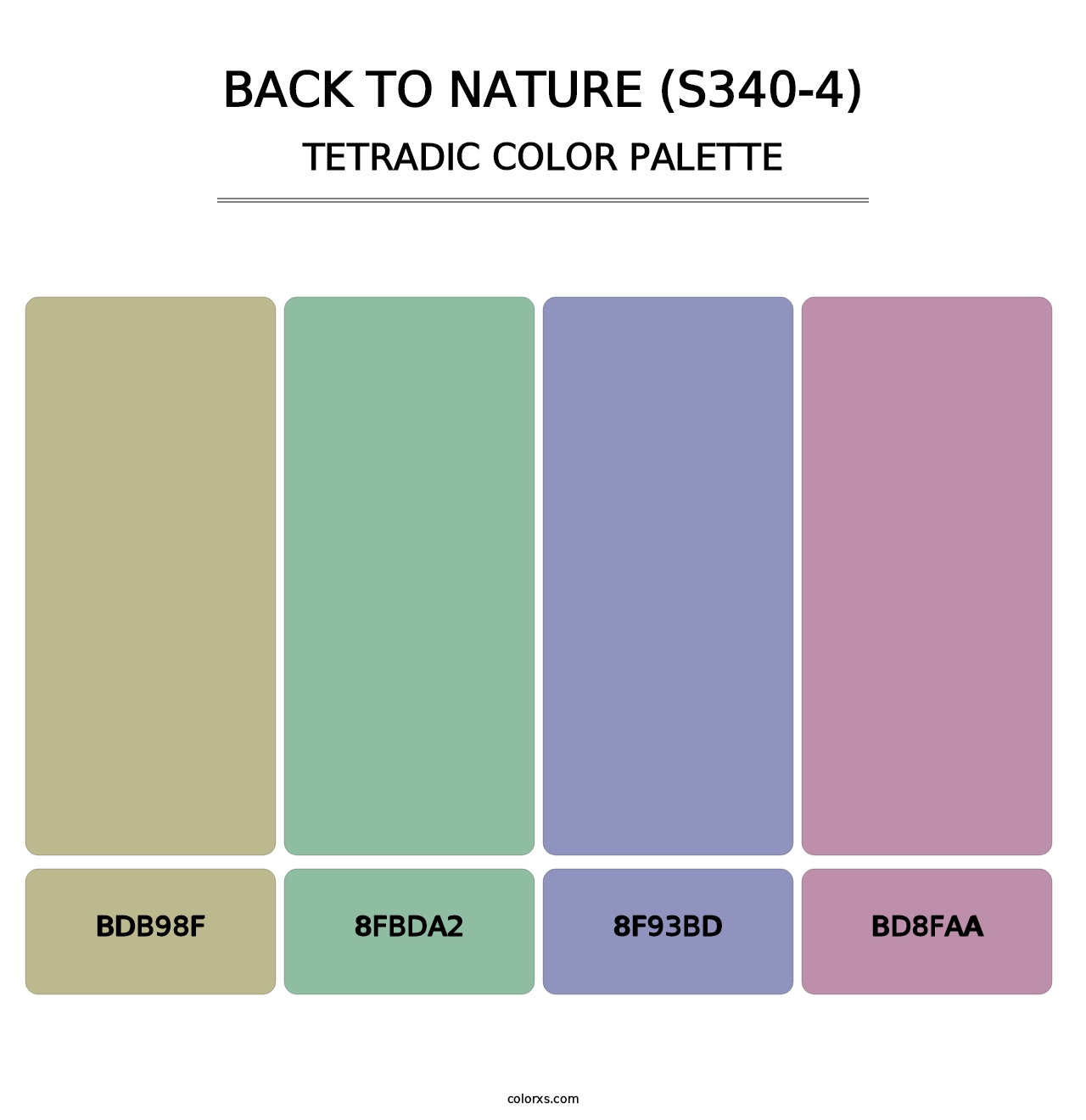 Back To Nature (S340-4) - Tetradic Color Palette