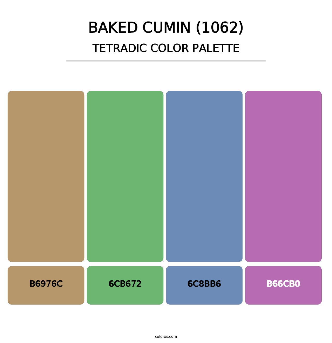 Baked Cumin (1062) - Tetradic Color Palette