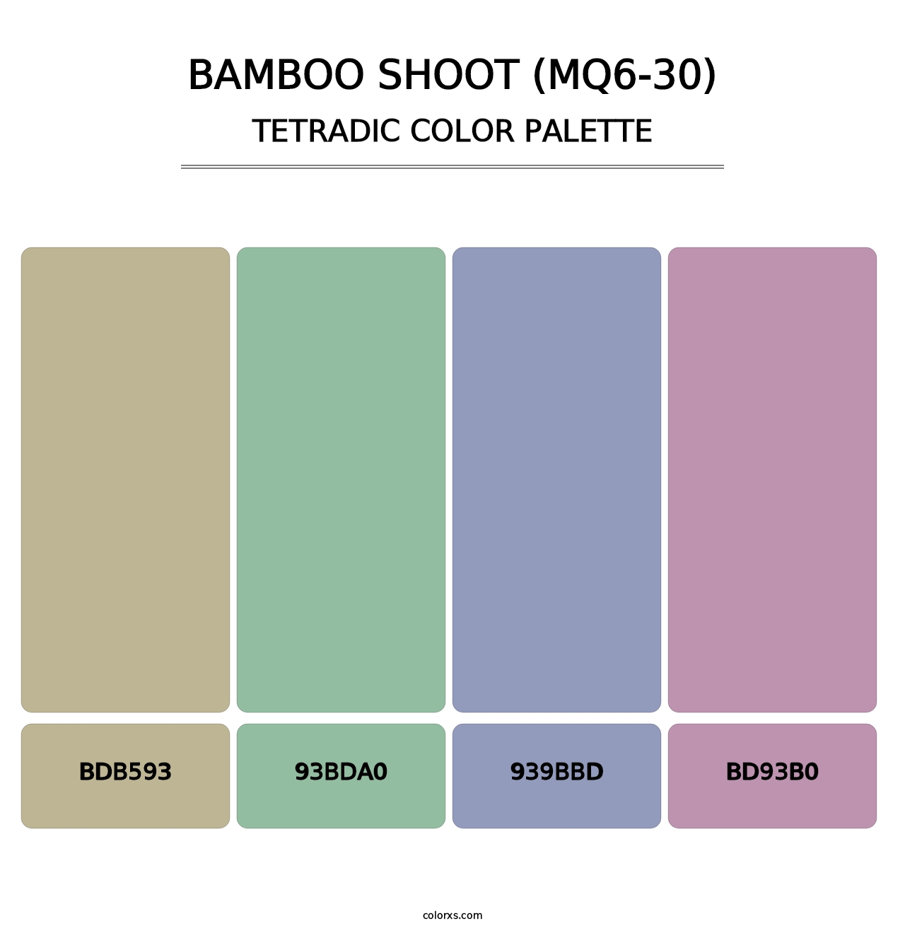 Bamboo Shoot (MQ6-30) - Tetradic Color Palette