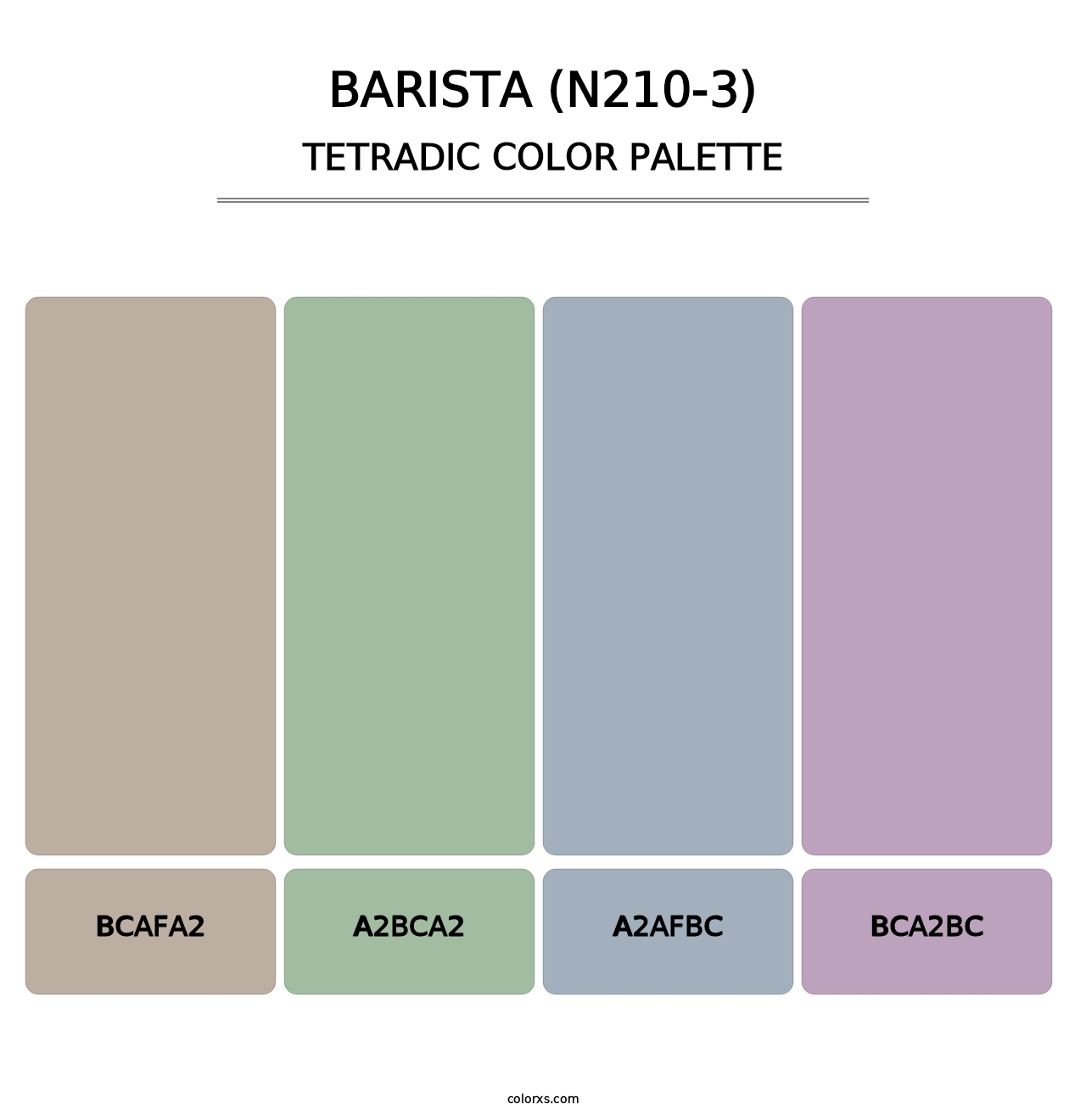 Barista (N210-3) - Tetradic Color Palette