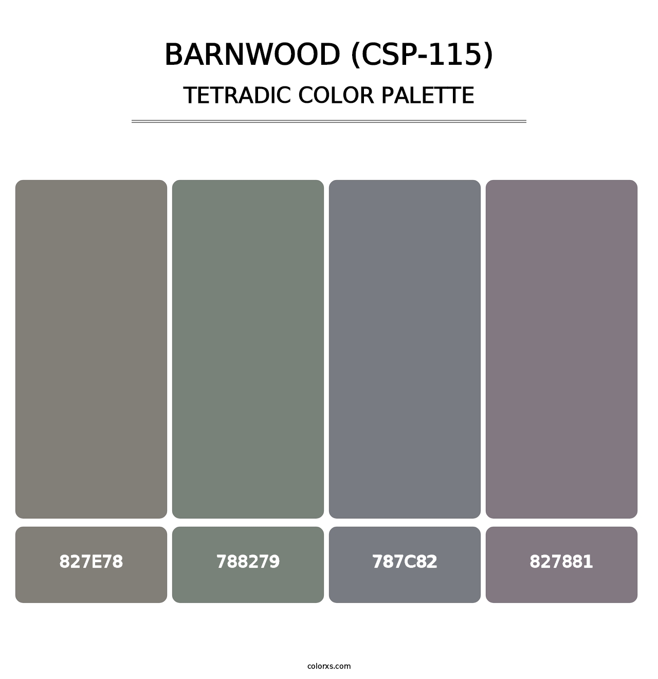 Barnwood (CSP-115) - Tetradic Color Palette