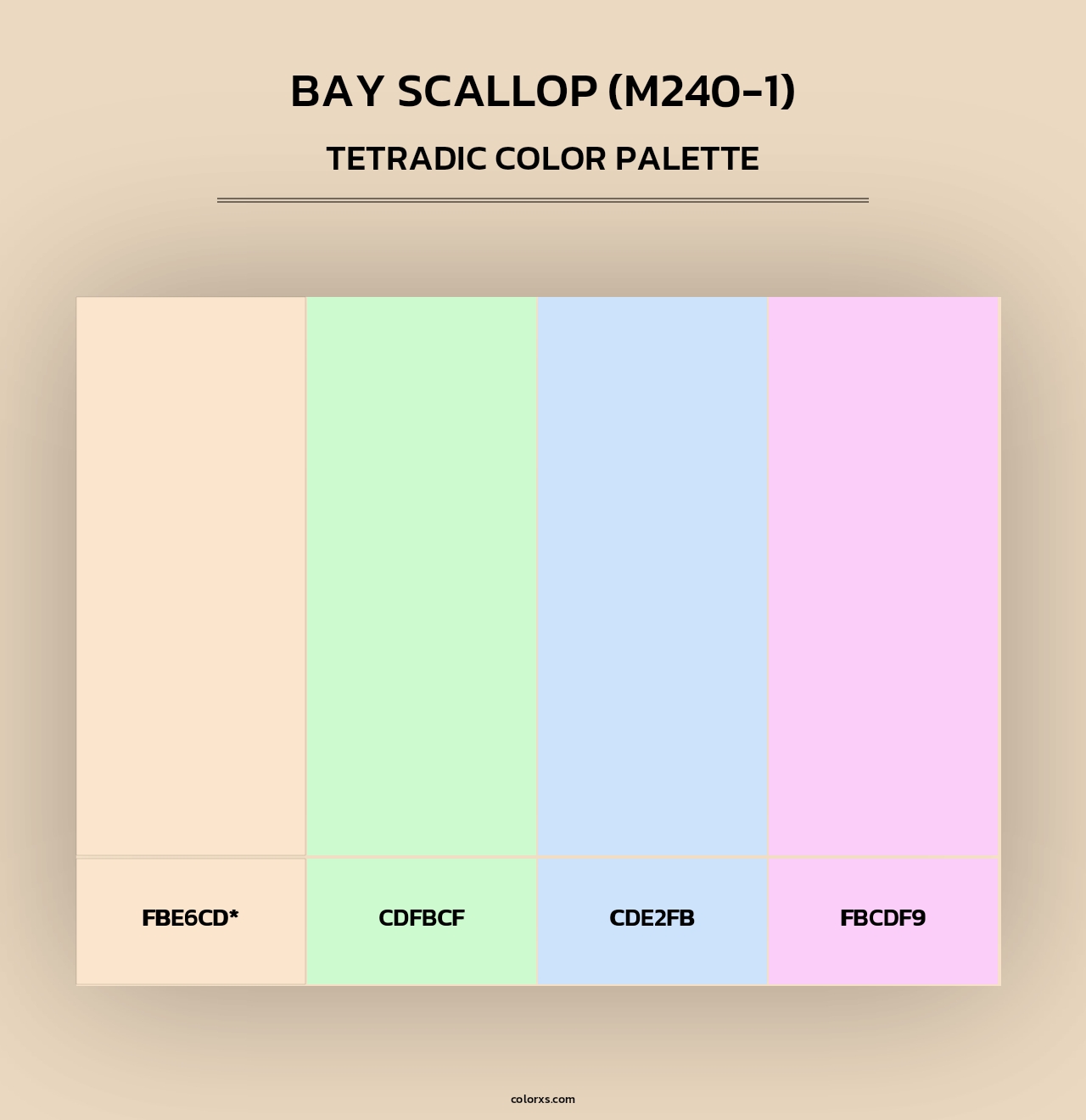 Bay Scallop (M240-1) - Tetradic Color Palette