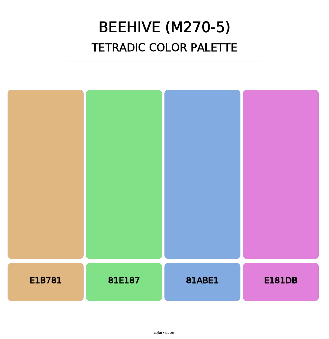 Beehive (M270-5) - Tetradic Color Palette
