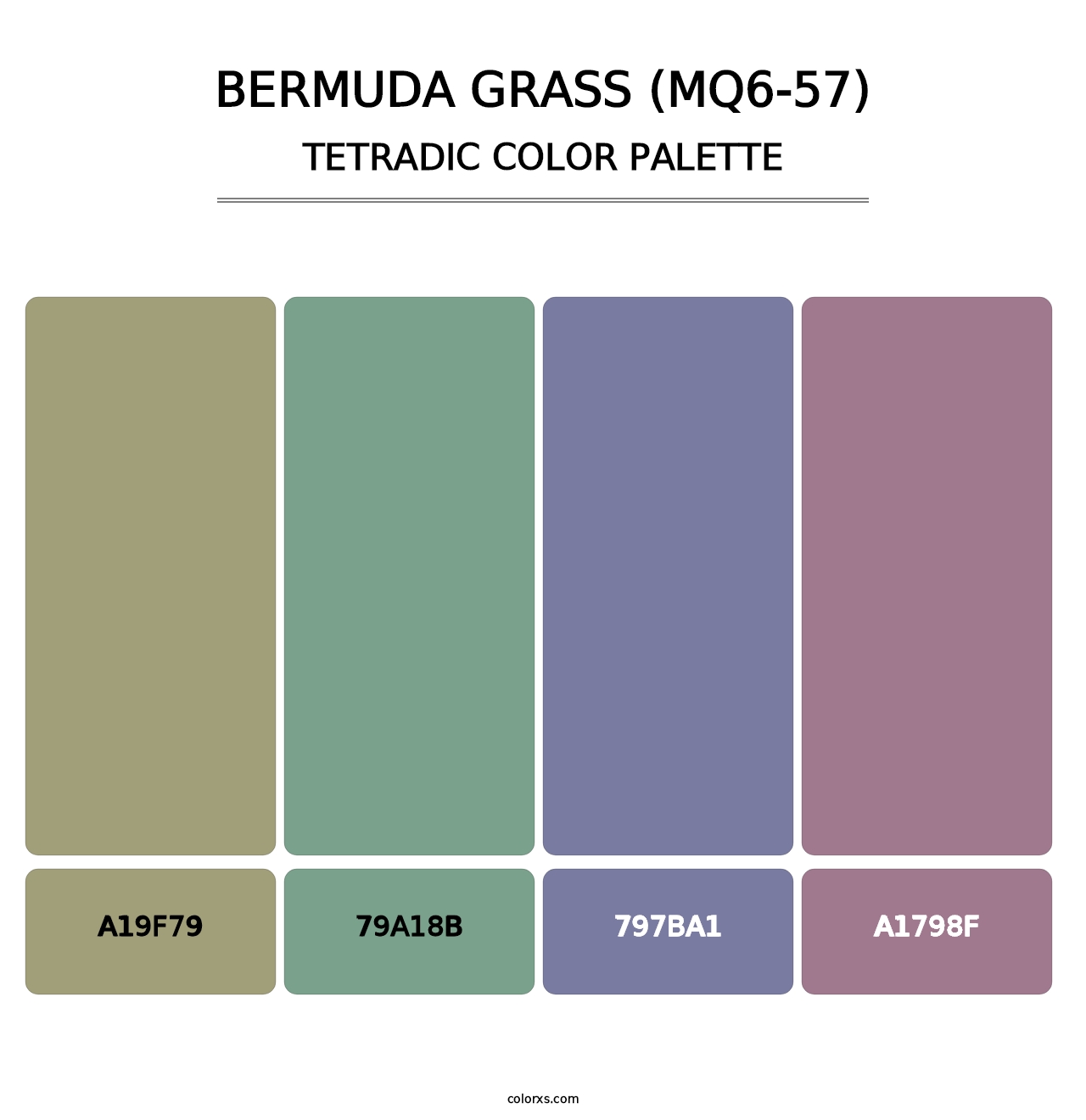 Bermuda Grass (MQ6-57) - Tetradic Color Palette