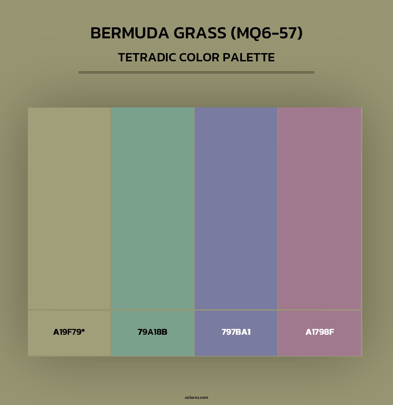 Bermuda Grass (MQ6-57) - Tetradic Color Palette