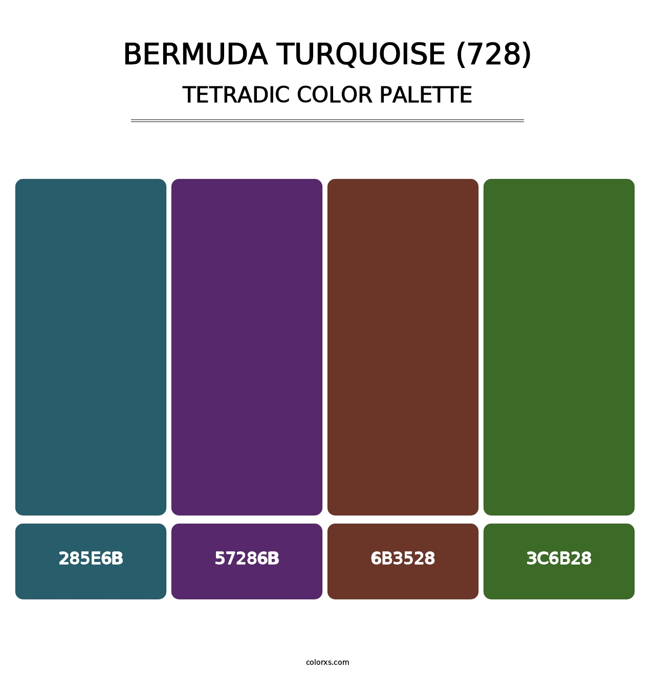 Bermuda Turquoise (728) - Tetradic Color Palette