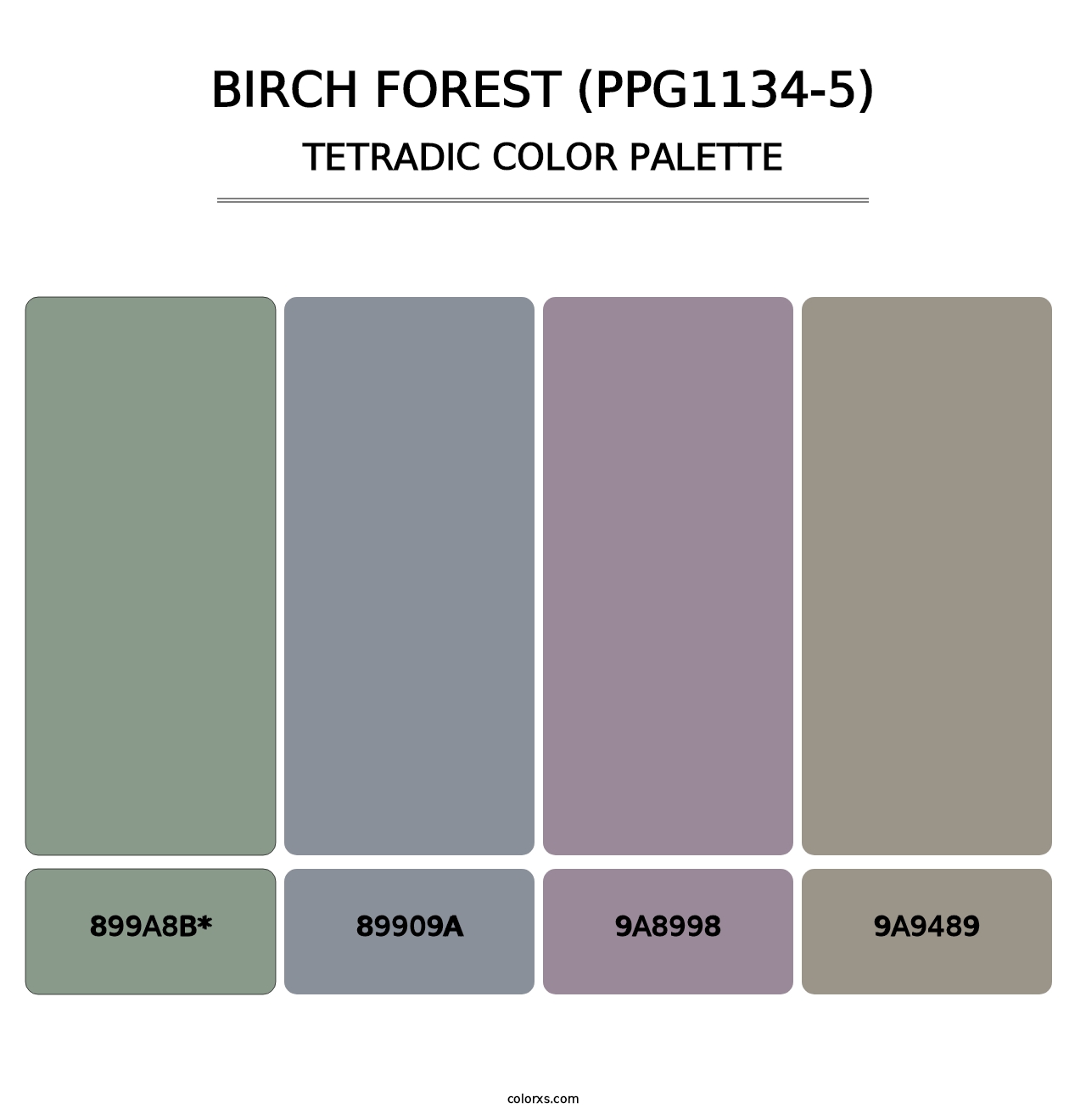 Birch Forest (PPG1134-5) - Tetradic Color Palette