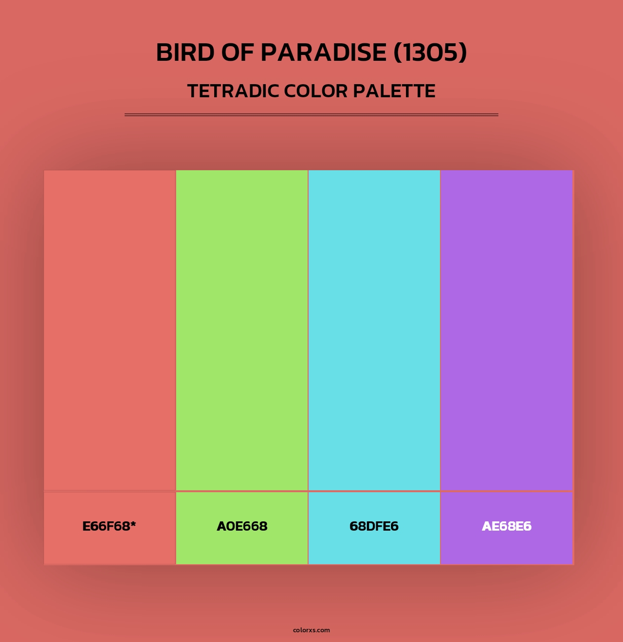 Bird of Paradise (1305) - Tetradic Color Palette