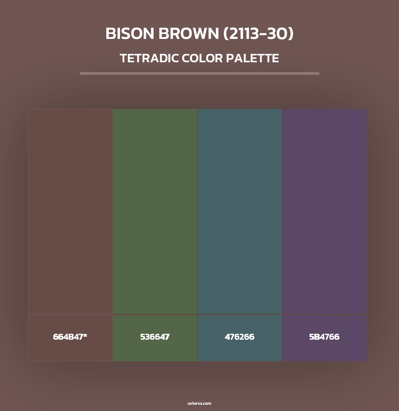 Bison Brown (2113-30) - Tetradic Color Palette