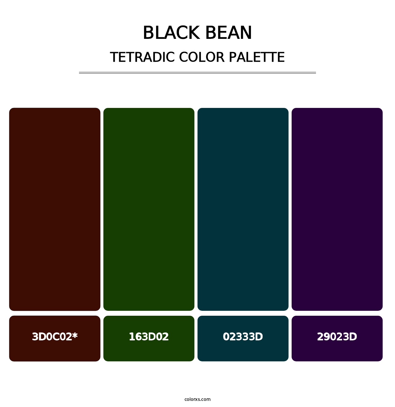 Black Bean - Tetradic Color Palette