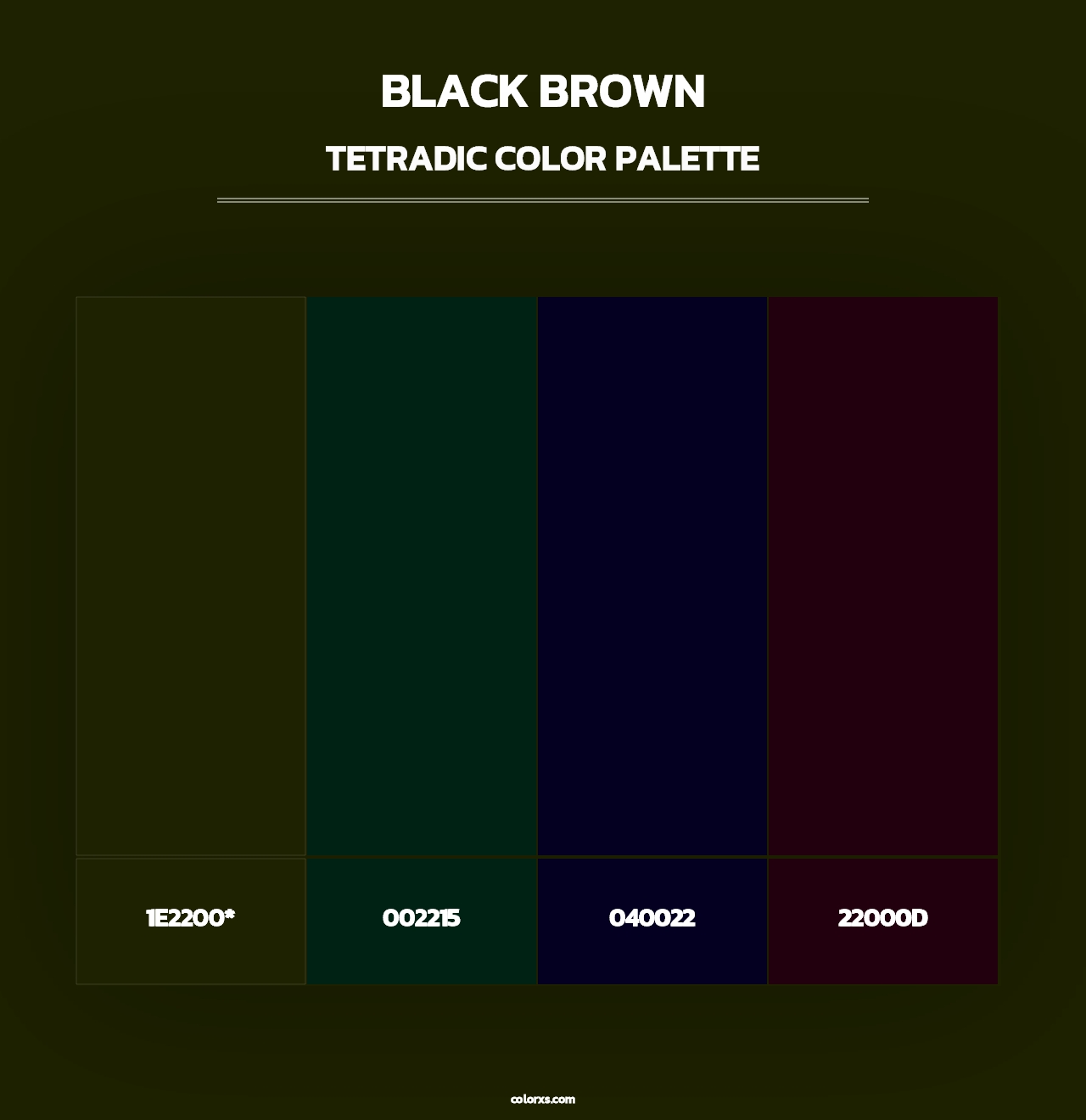 Black Brown - Tetradic Color Palette