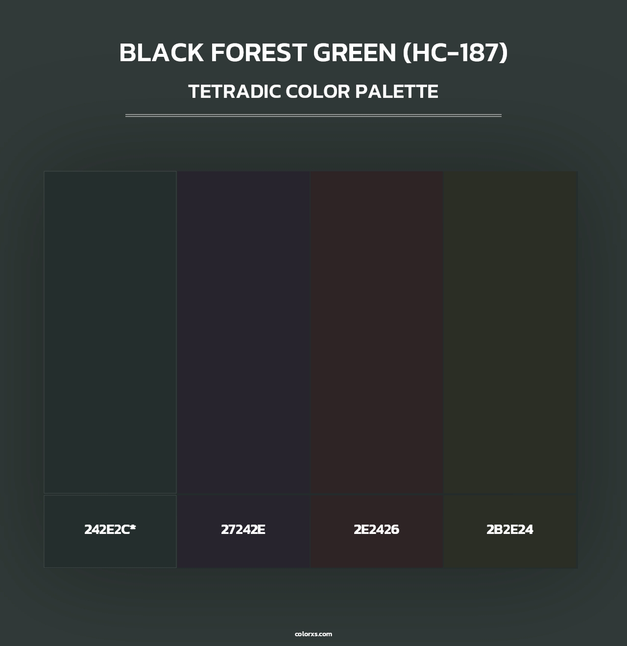 Black Forest Green (HC-187) - Tetradic Color Palette