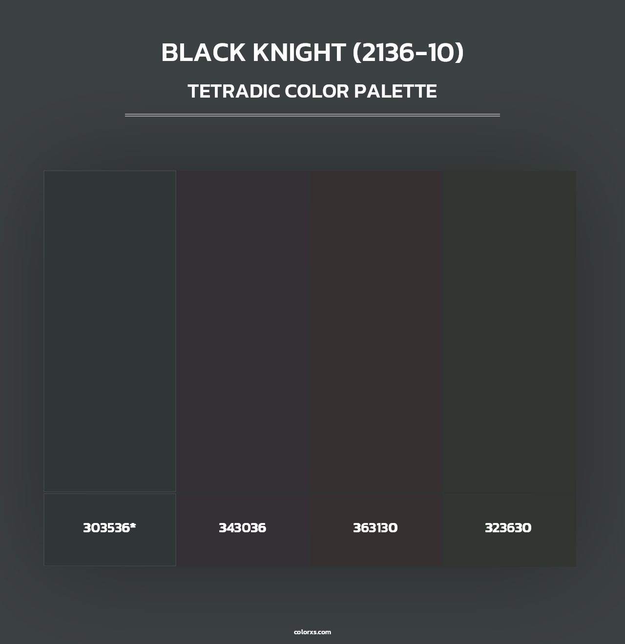 Black Knight (2136-10) - Tetradic Color Palette