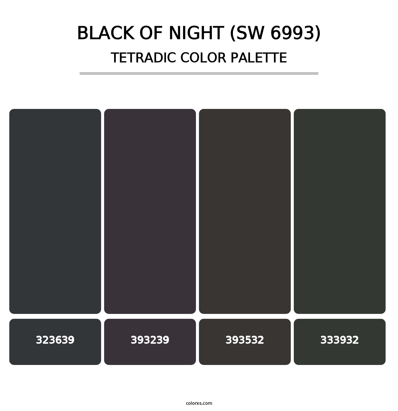 Black of Night (SW 6993) - Tetradic Color Palette
