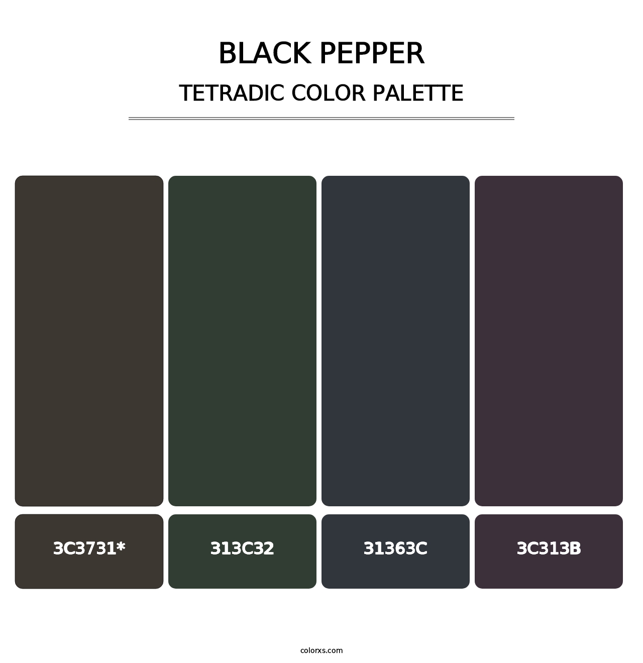 Black Pepper - Tetradic Color Palette