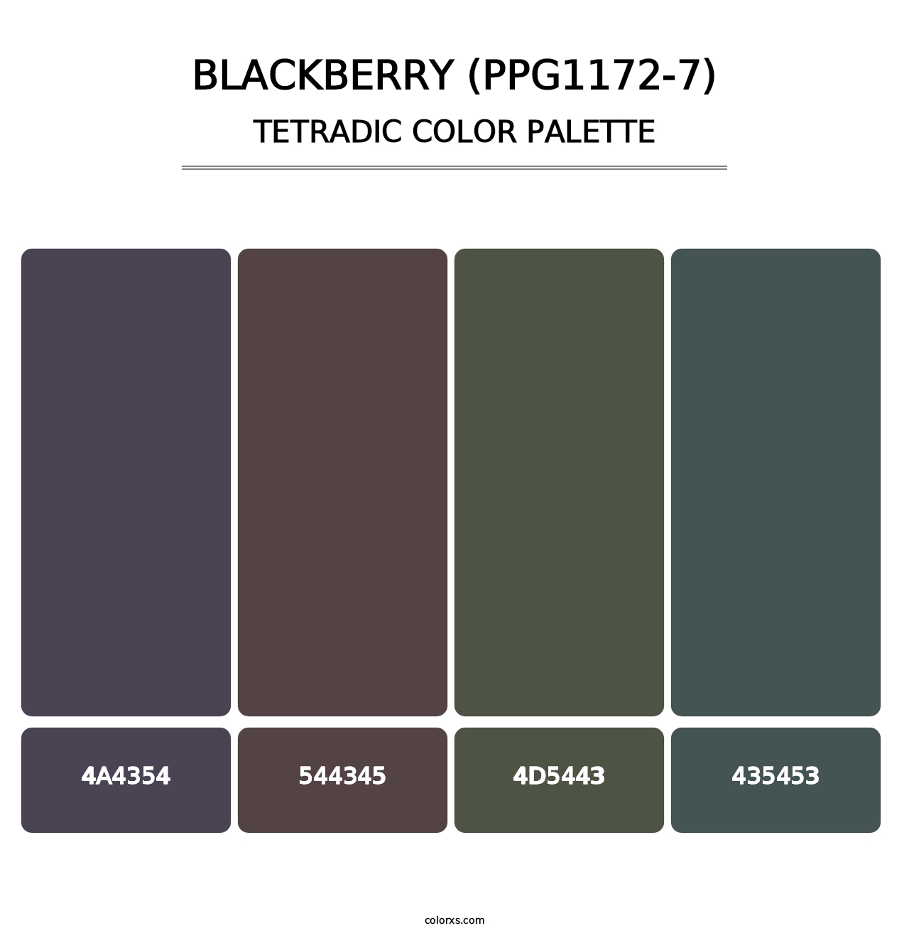 Blackberry (PPG1172-7) - Tetradic Color Palette