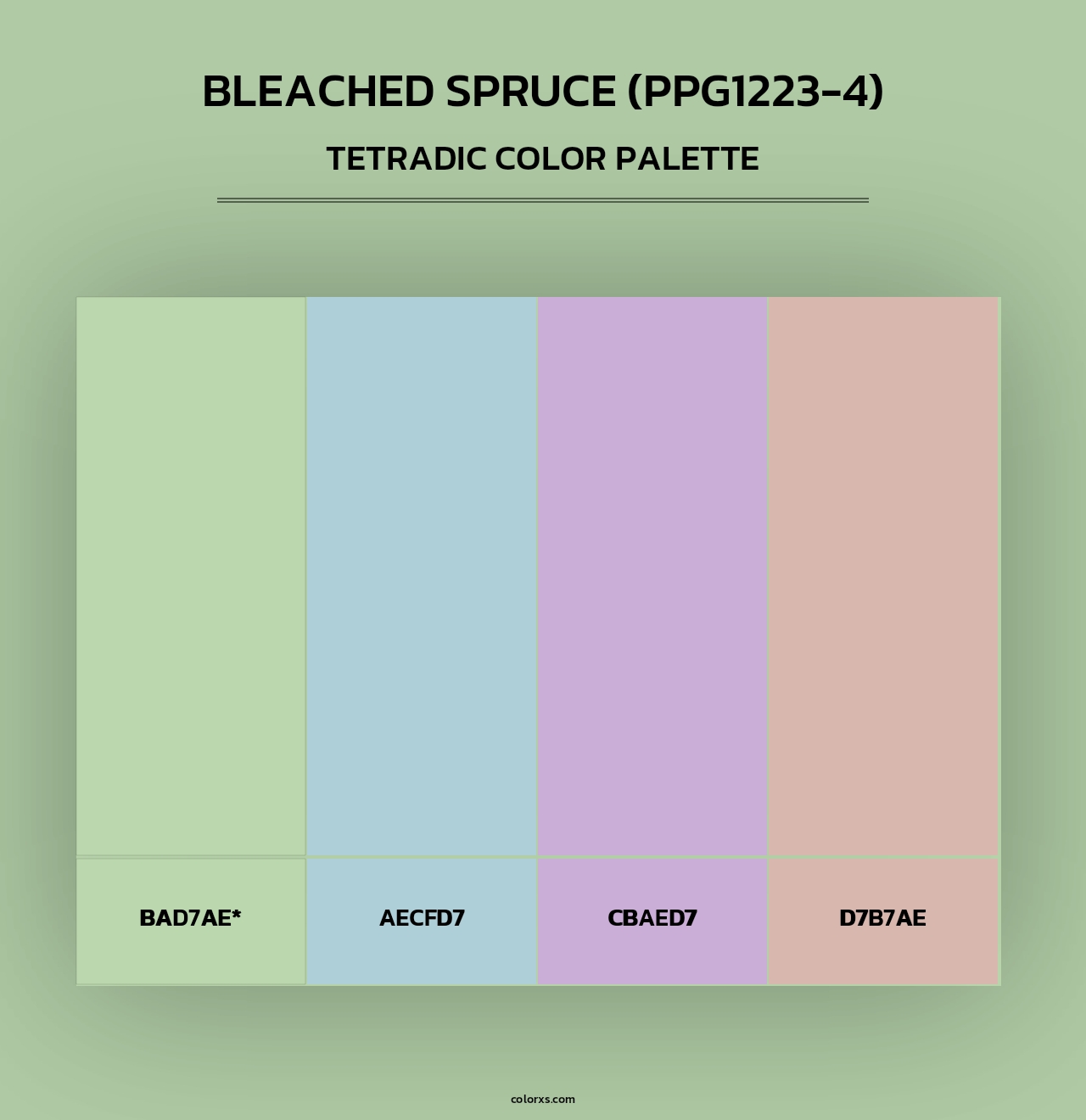 Bleached Spruce (PPG1223-4) - Tetradic Color Palette