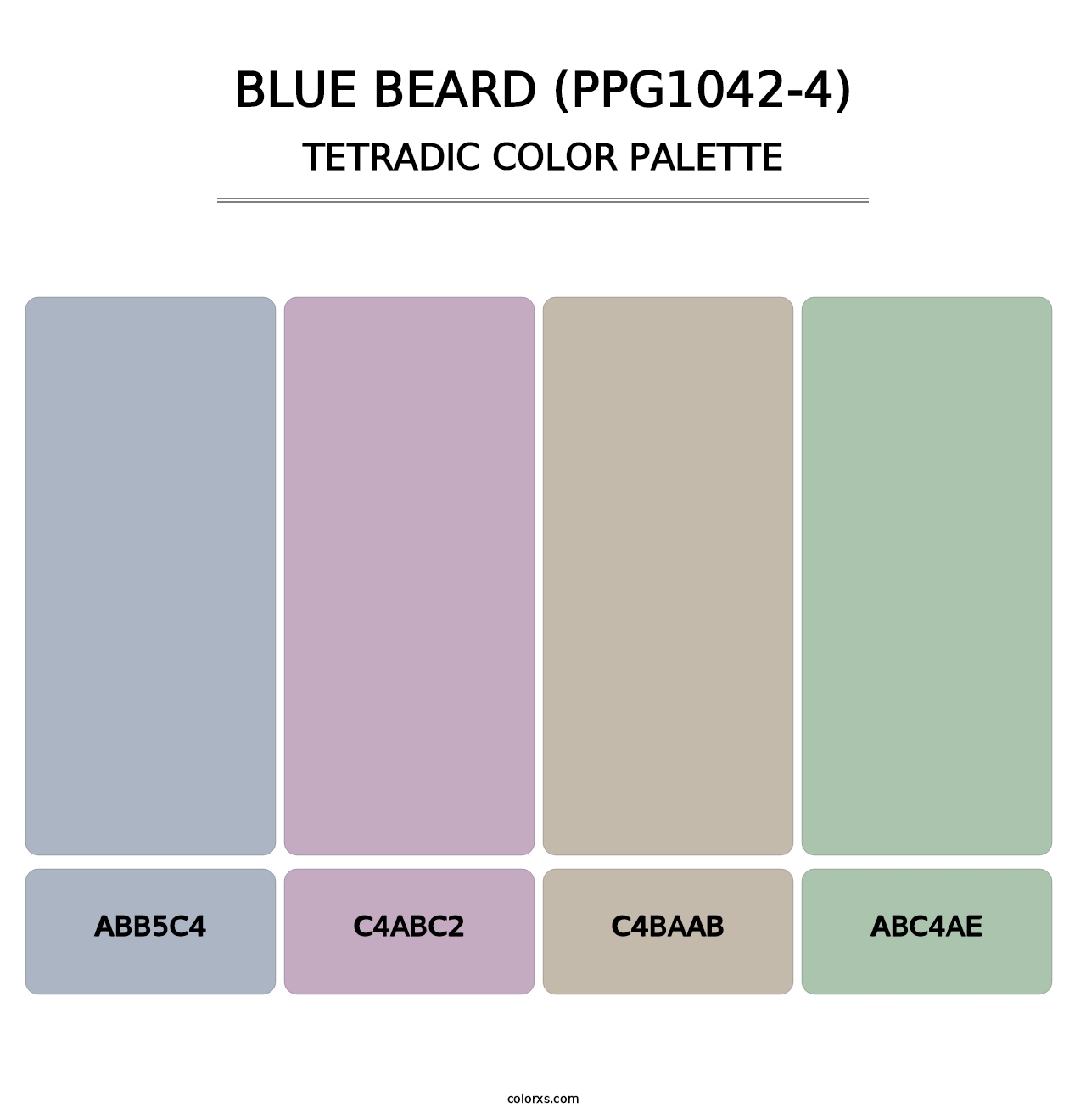 Blue Beard (PPG1042-4) - Tetradic Color Palette