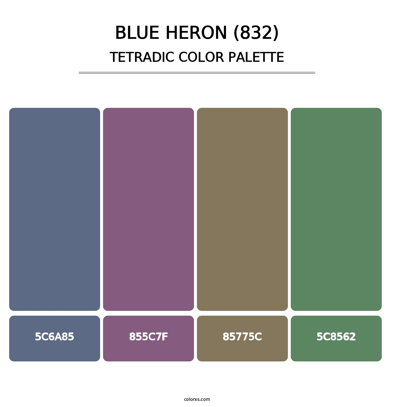Blue Heron (832) - Tetradic Color Palette