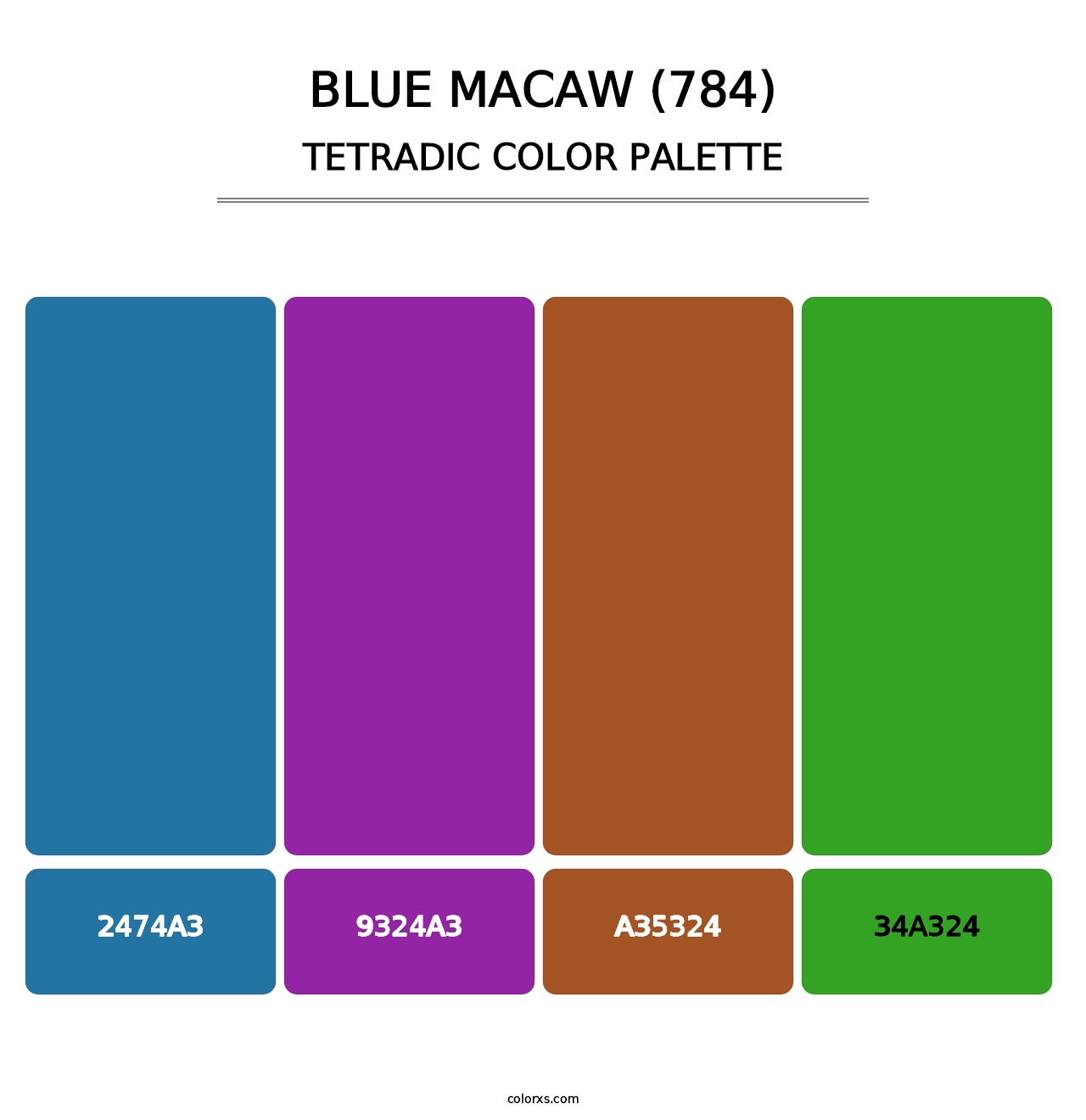 Blue Macaw (784) - Tetradic Color Palette