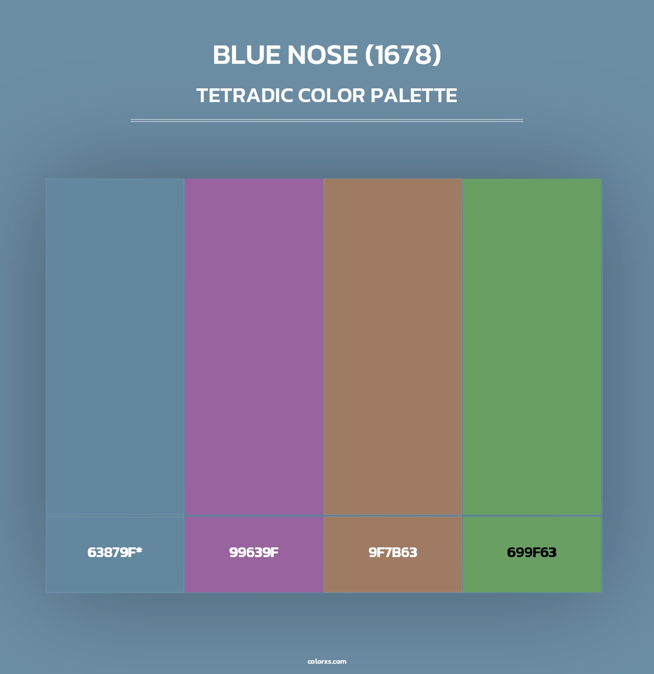 Blue Nose (1678) - Tetradic Color Palette
