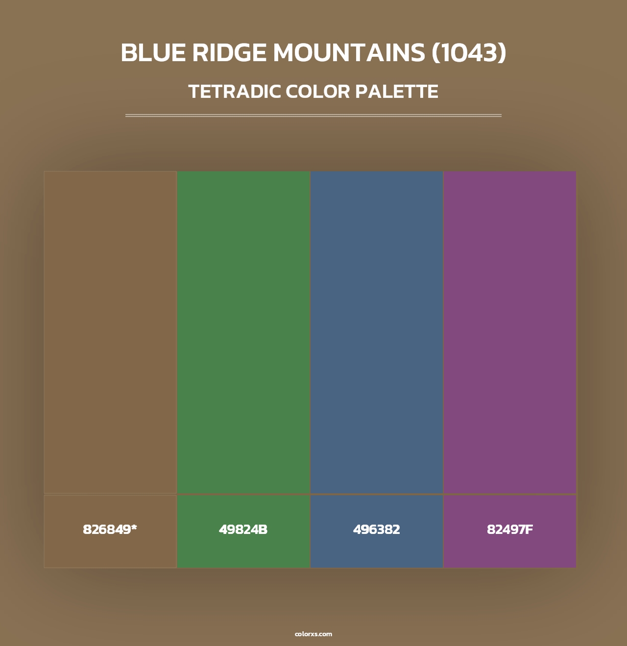 Blue Ridge Mountains (1043) - Tetradic Color Palette