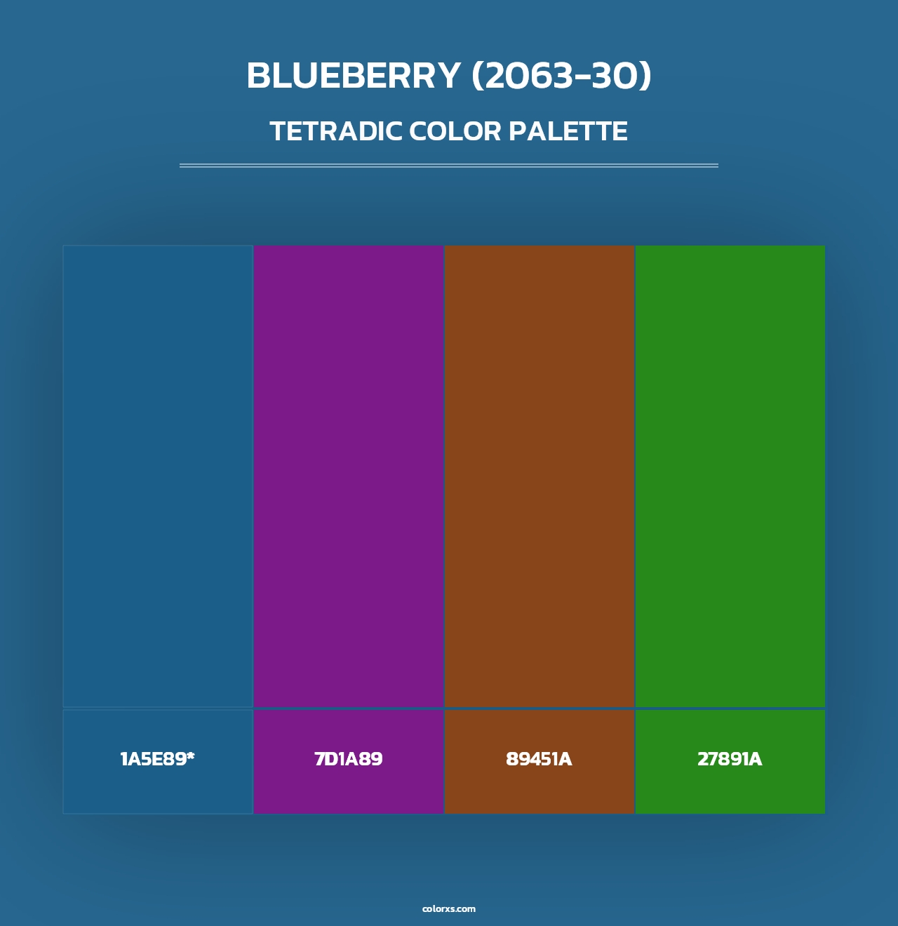 Blueberry (2063-30) - Tetradic Color Palette